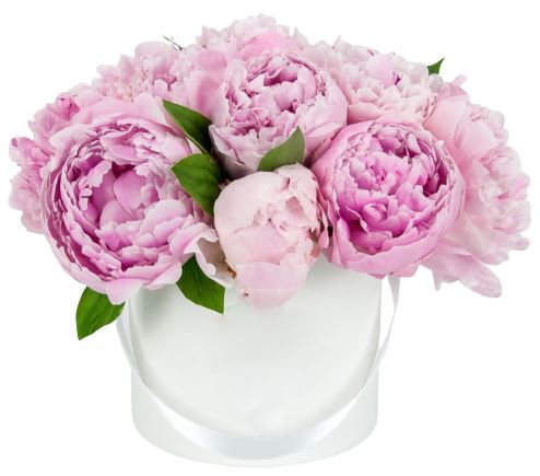 Classic Box with Peonies - Florist London