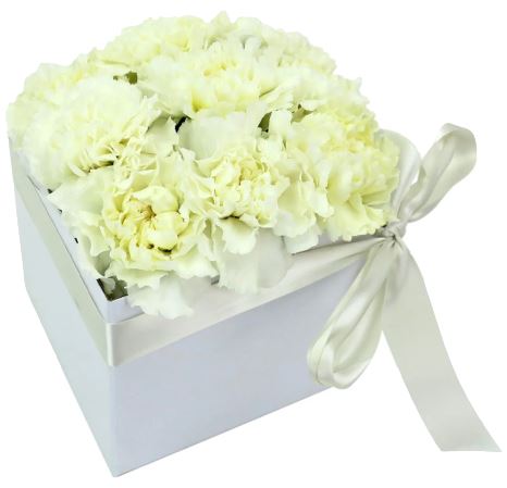 Classic Carnation Box - Florist London