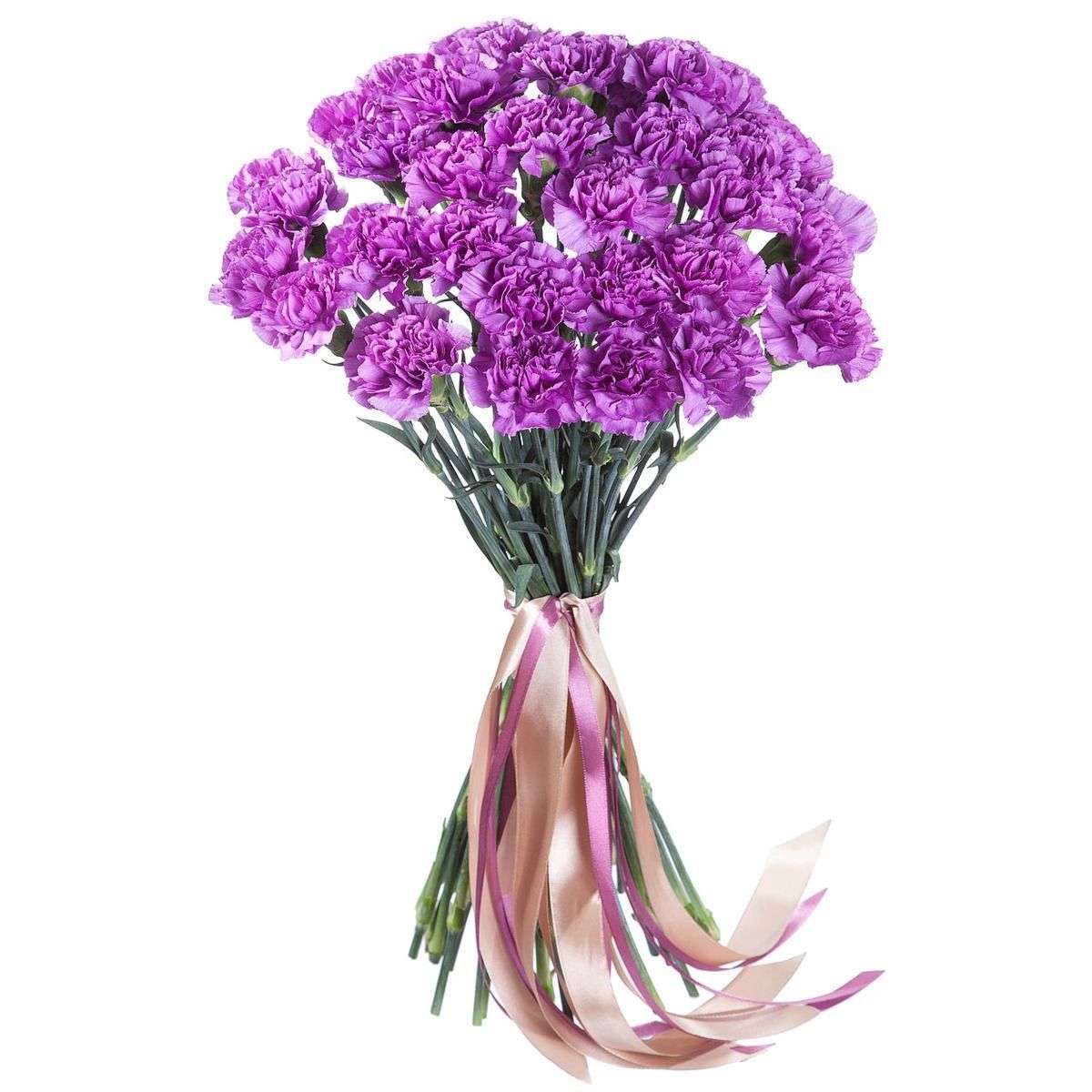Classic Carnations Bouquet - Florist London