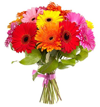 Classic Colourful Gerbera with Greenery Bouquet - Florist London