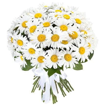 Classic Daisy Bouquet - Florist London