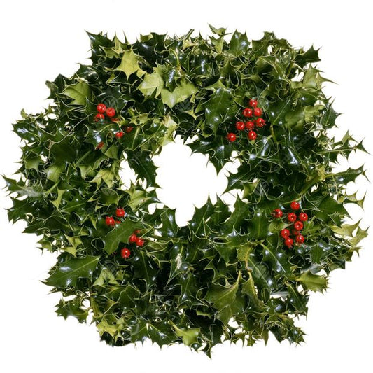 Classic Holly Wreath