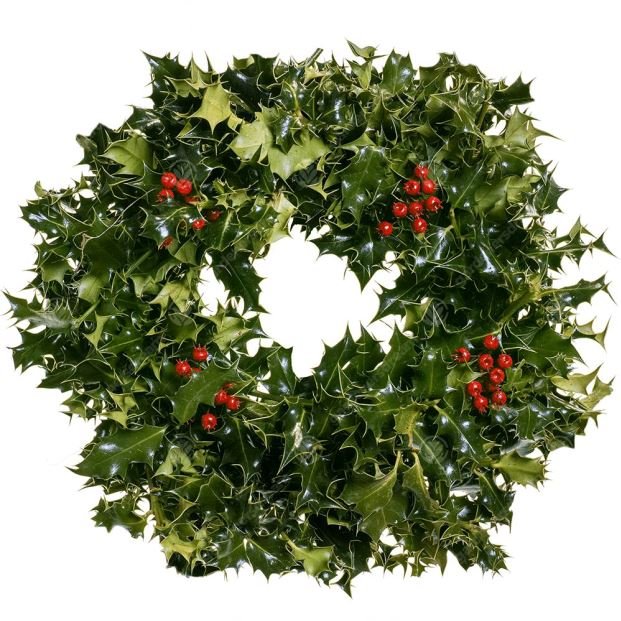 Classic Holly Wreath - Florist London