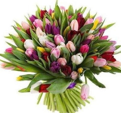 Colored Bouquet of Tulips