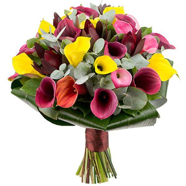 Colorful Bouquet of Calla Lilies - Florist London