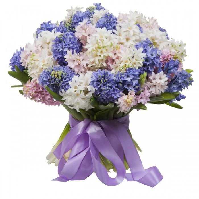 Colorful Bouquet of Hyacinths - Florist London