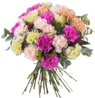 Colourful Carnations with Greenery Bouquet - Florist London