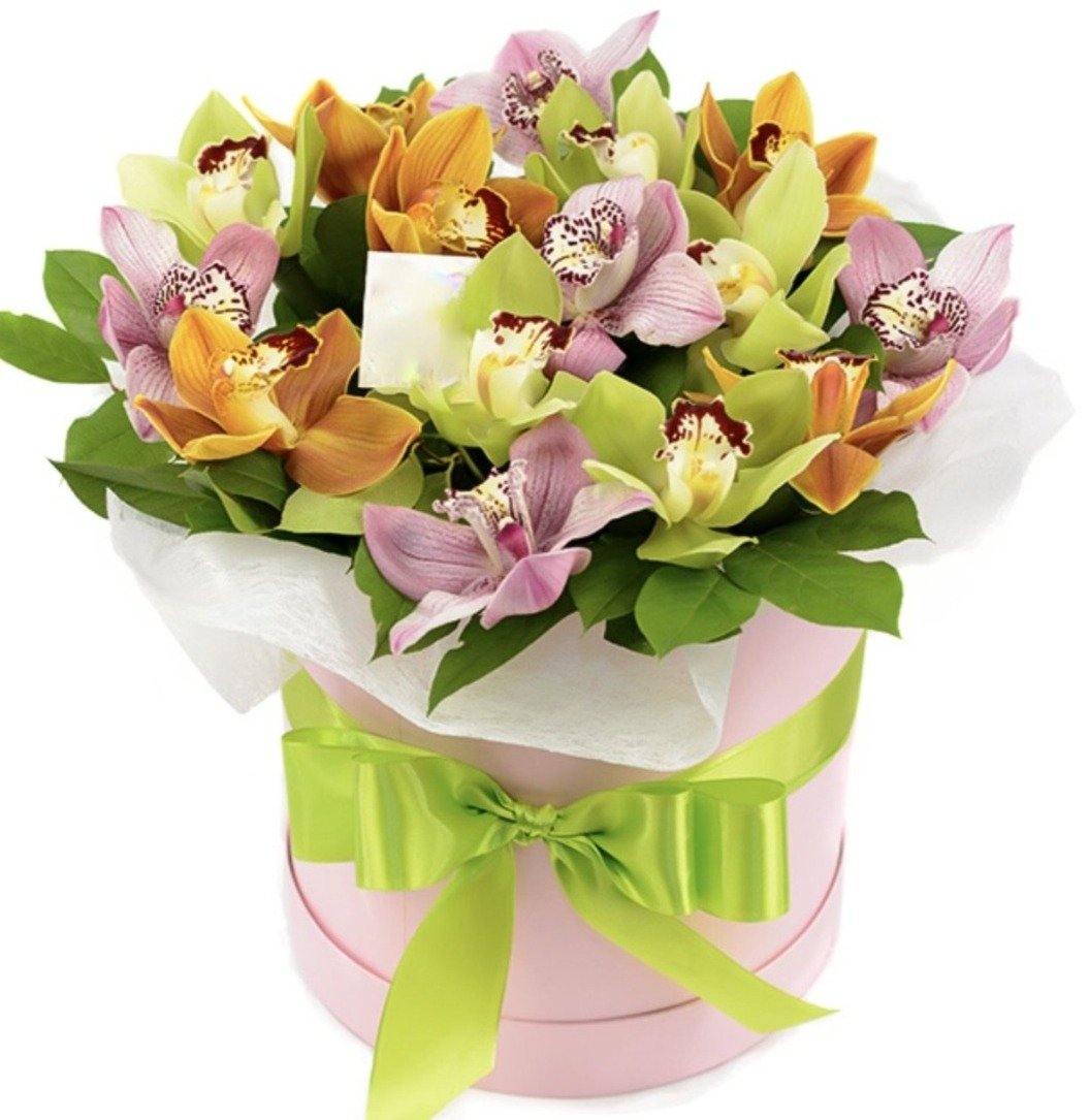 Colourful Cymbidium in a Box - Florist London