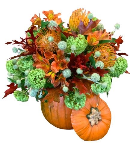 Colourful Pumpkin Arrangement - Florist London