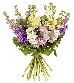 Colourful Stock Bouquet