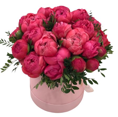 Coral Peonies Box