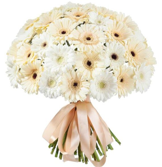 Cream and White Gerbera Bouquet - Florist London