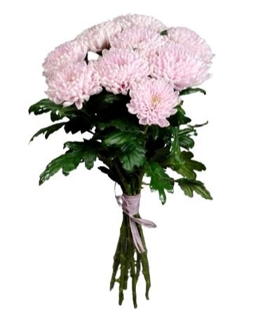 Cute Pink Chrysanthemum Bouquet - Florist London