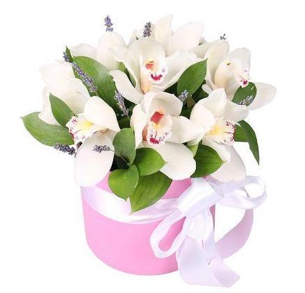 Cymbidium and Lavender Box - Florist London