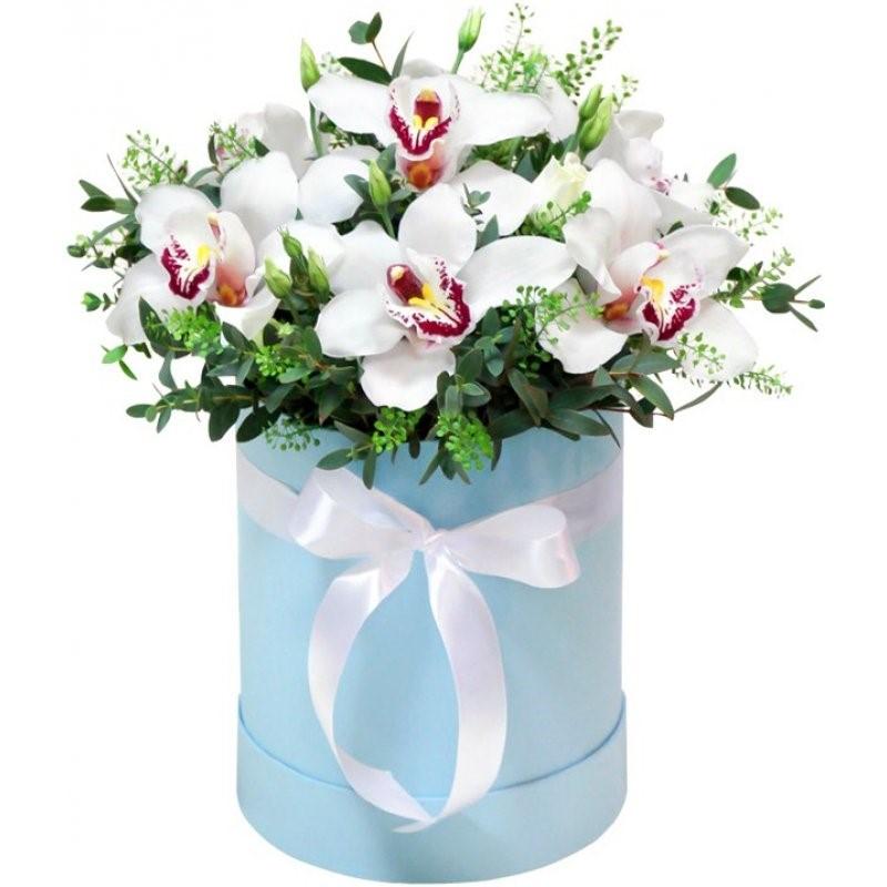 Cymbidium with Green Bell Box - Florist London