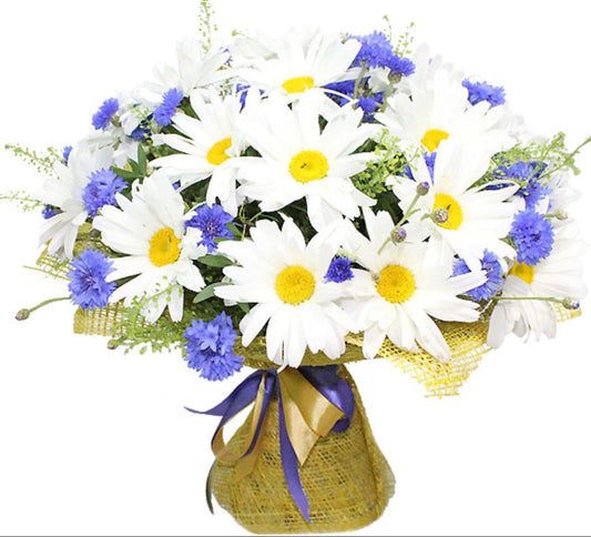 Daisy and Cornflower Bouquet