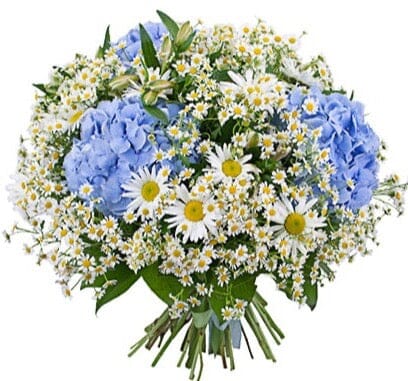 Daisy Bouquet with Blue Hydrangea - Florist London
