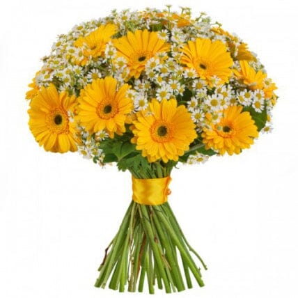 Daisy Tanacetum and Gerbera Bouquet - Florist London