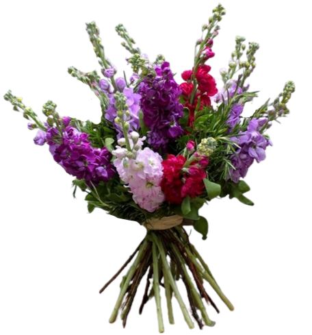 Dark Colors of Stock Bouquet
