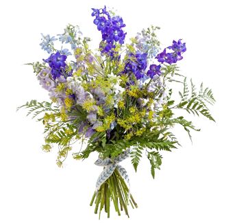 Delphinium Flower with Greenery