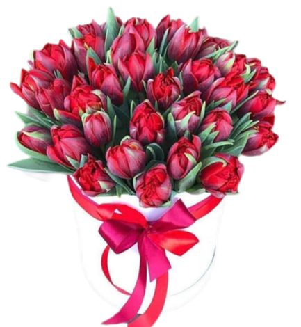 Double Tulips Box - Florist London