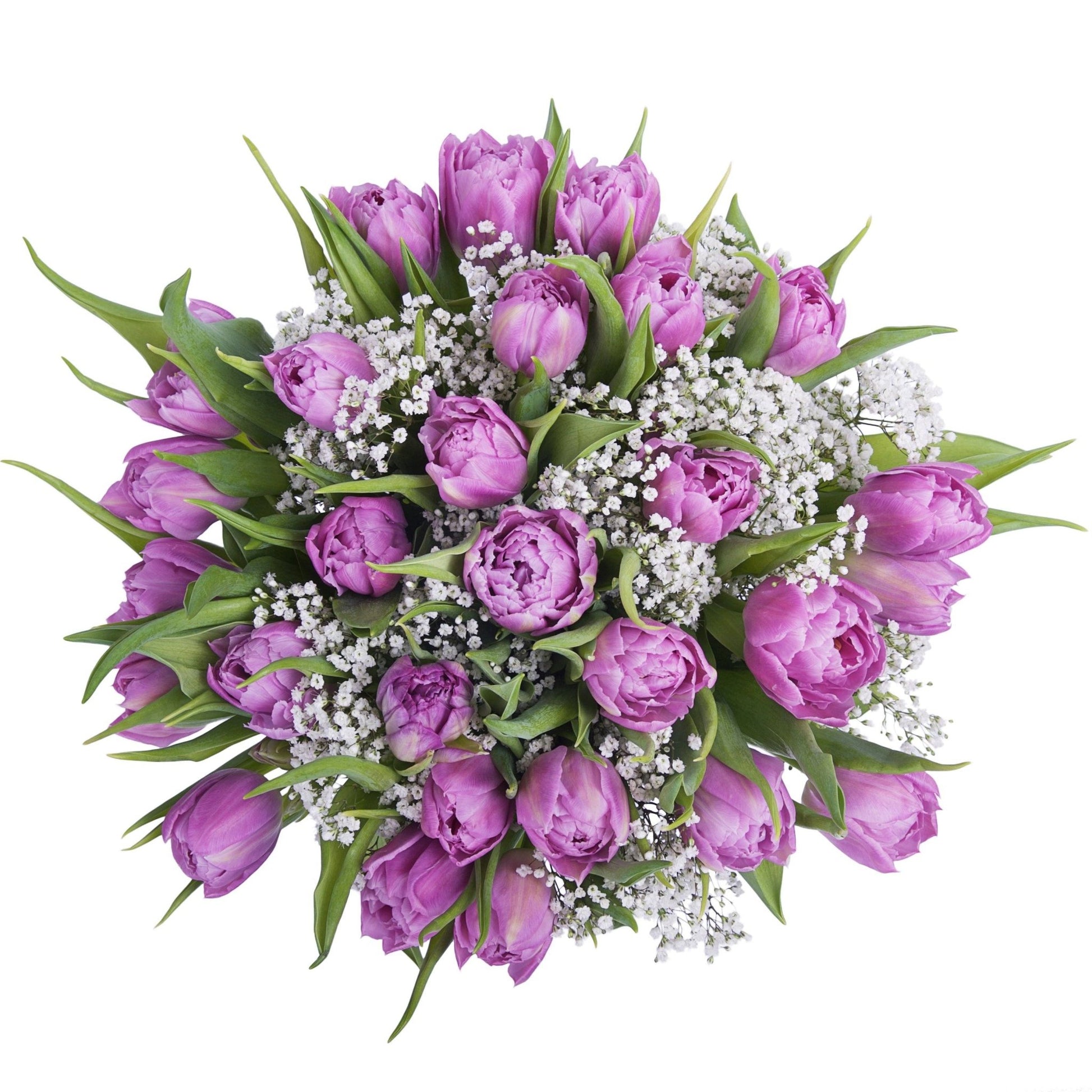 Double Tulips with Gypsophila Bouquet - Florist London