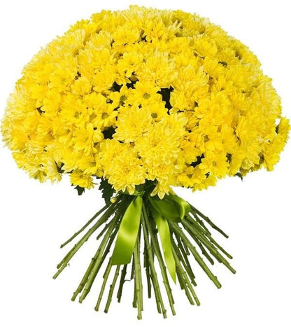 Duo Yellow Chrysanthemum Bouquet - Florist London