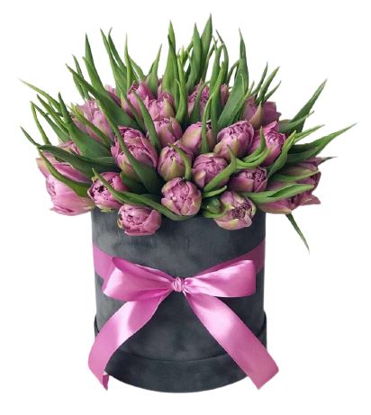 Elegant Double Tulips Box - Florist London
