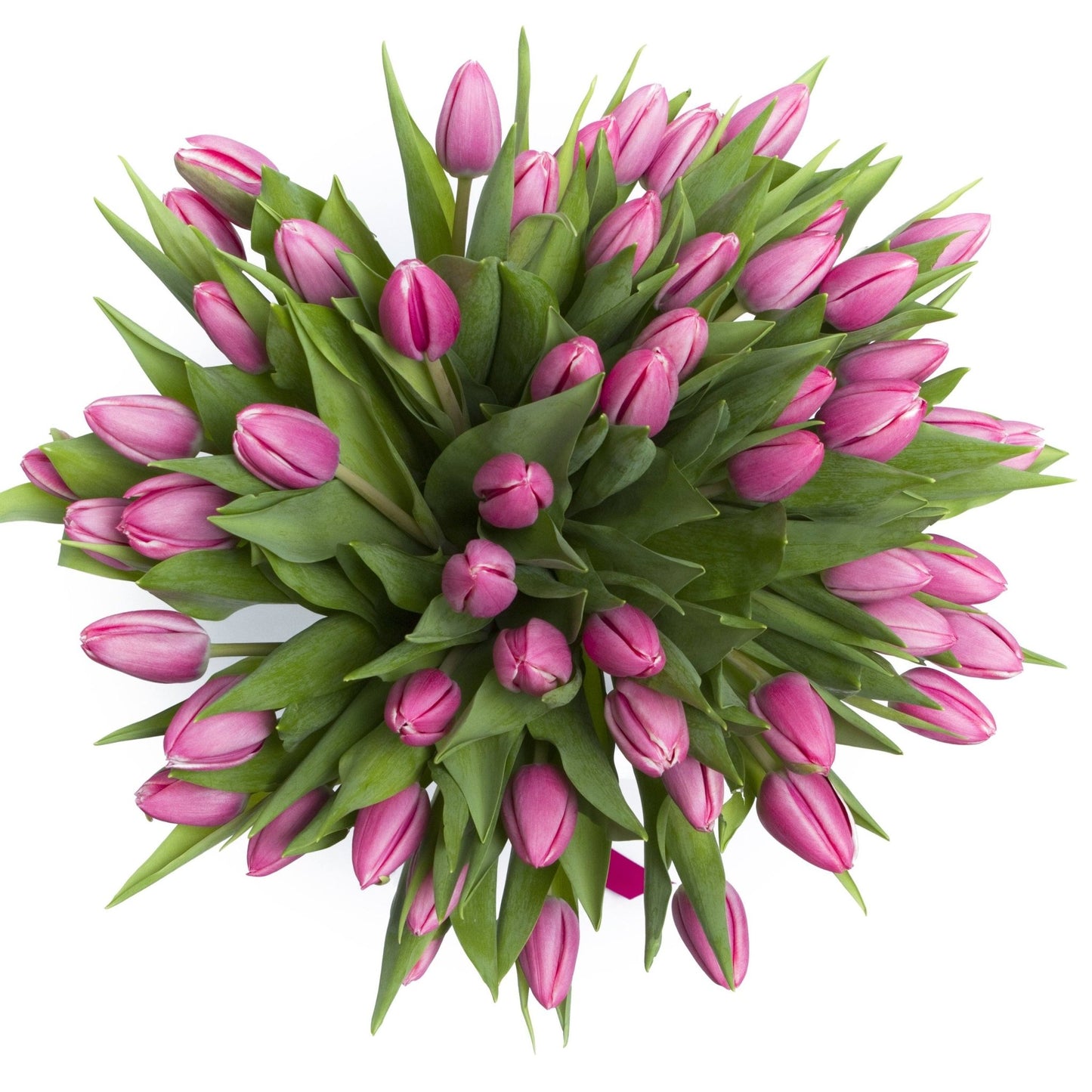 Elegant Tulips Bouquet - Florist London