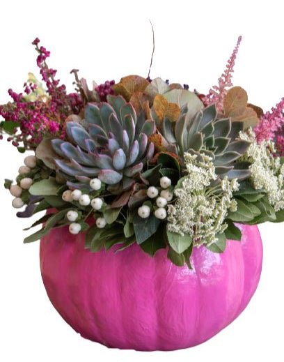 Exotic Pink Pumpkin Arrangement - Florist London