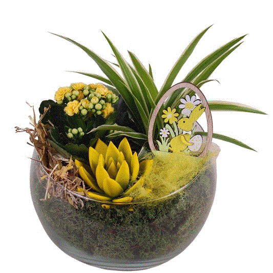 Fish Bowl Easter Plant Composition