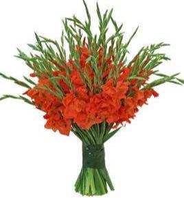 Fortieth Wedding Anniversary Ruby Bouquet - Florist London