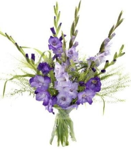 Gladiolus Bouquet with Green Bell
