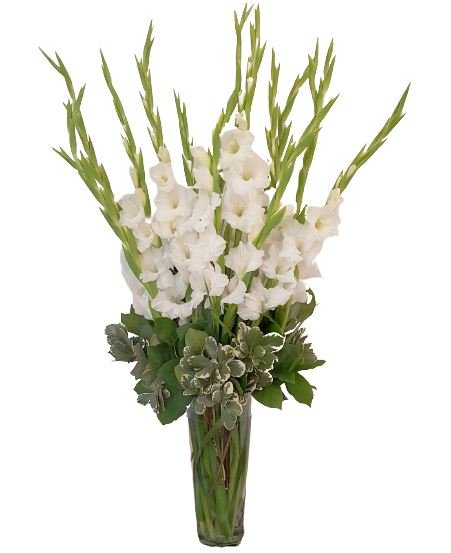 Gladiolus Bouquet with Greenery in Vase - Florist London