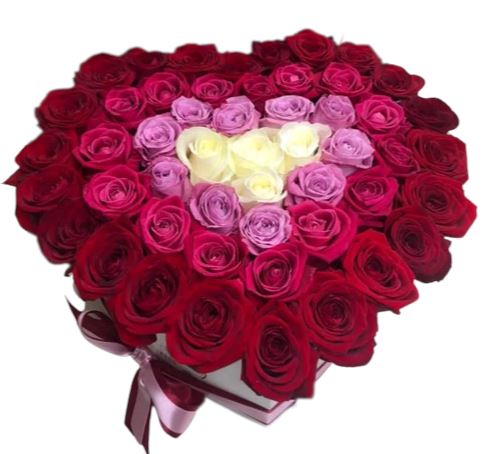 Gradient Box Of Roses - Florist London