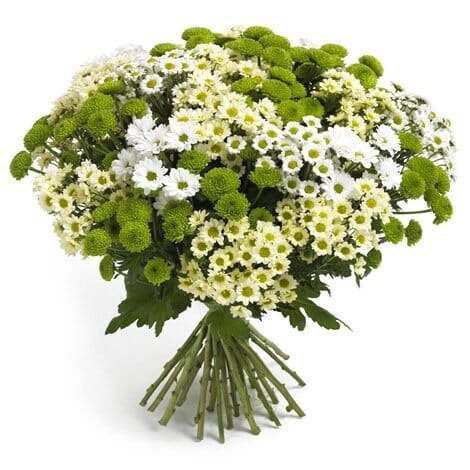 Green and White Shades Santini Bouquet - Florist London