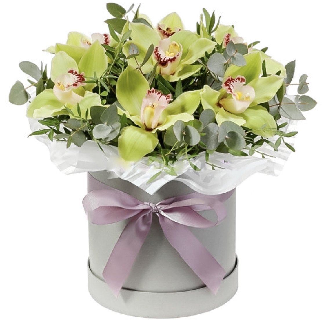 Green Cymbidium in a Box - Florist London