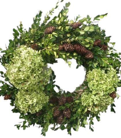 Green Hydrangea Christmas Wreath - Florist London