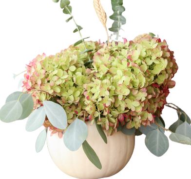 Green Hydrangea with Eucalyptus in Pumpkin