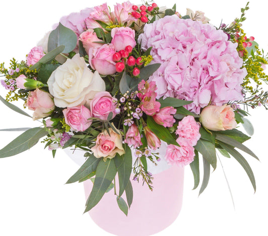 Isle of Pink Box