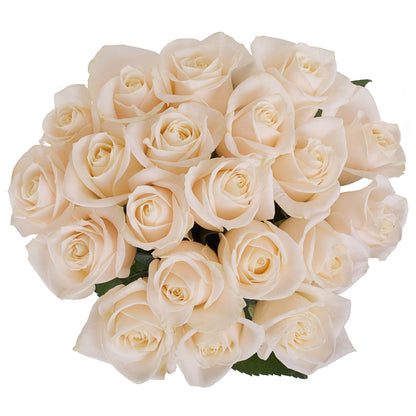 Ivory Roses Bouquet - Florist London