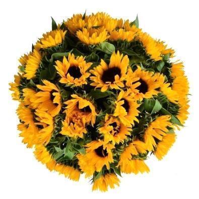 Just Sunflowers Bouquet - Florist London