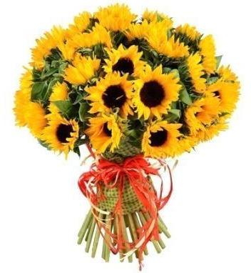 Just Sunflowers Bouquet - Florist London