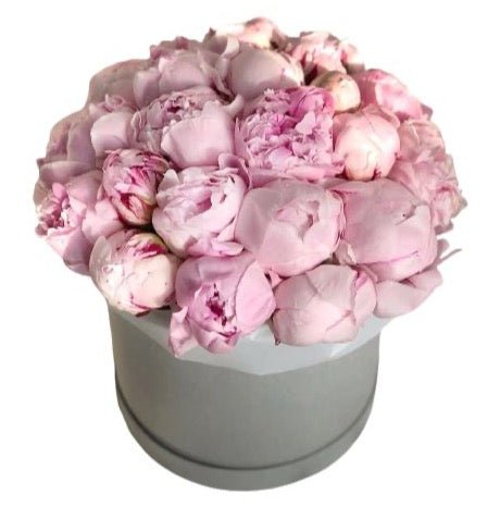 Light Pink Peonies Box - Florist London