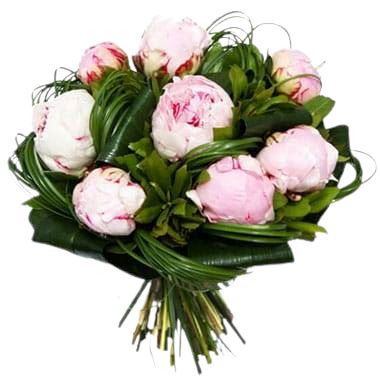 Light Pink Peonies with Greenery - Florist London