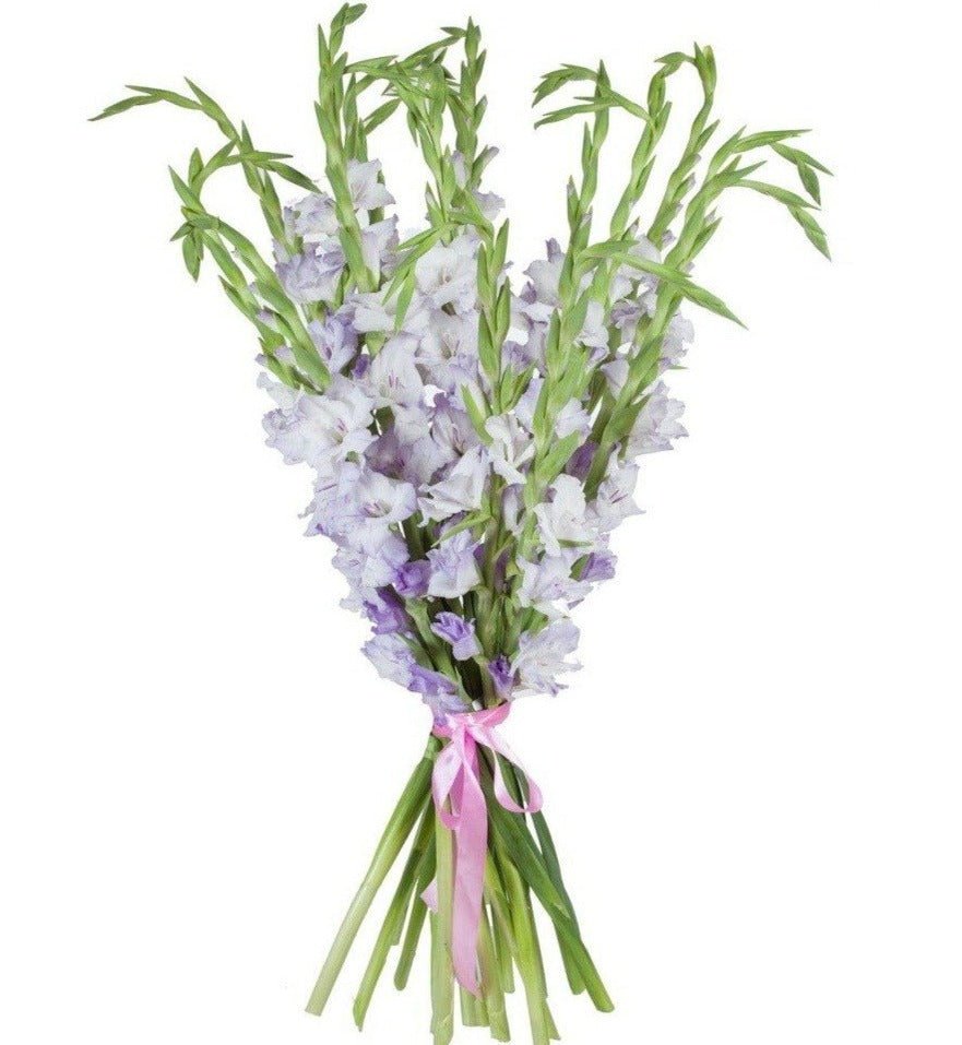 Light Purple Gladiolus Bouquet - Florist London
