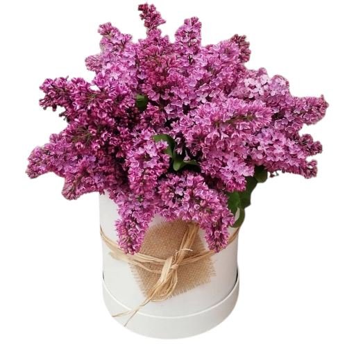 Lilac Box - Florist London