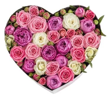 Lovely Box of Roses - Florist London