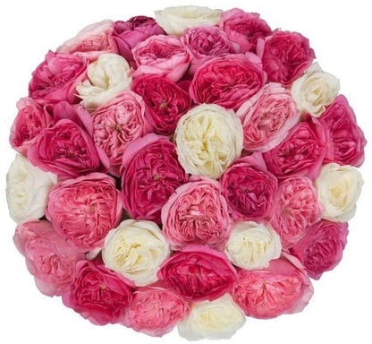 Luxury Garden Roses Box - Florist London