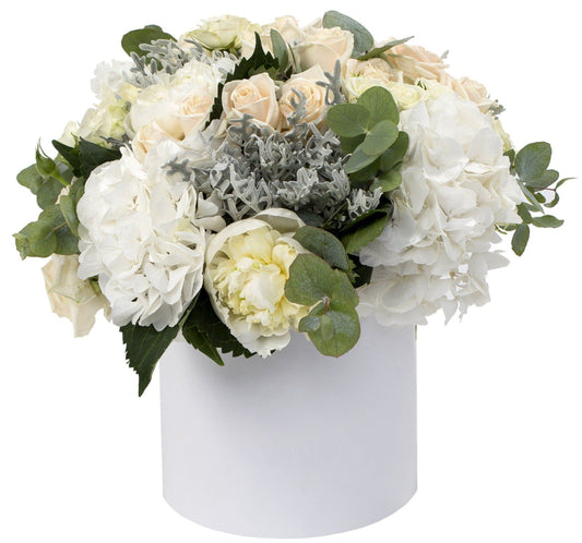 Luxury White Box